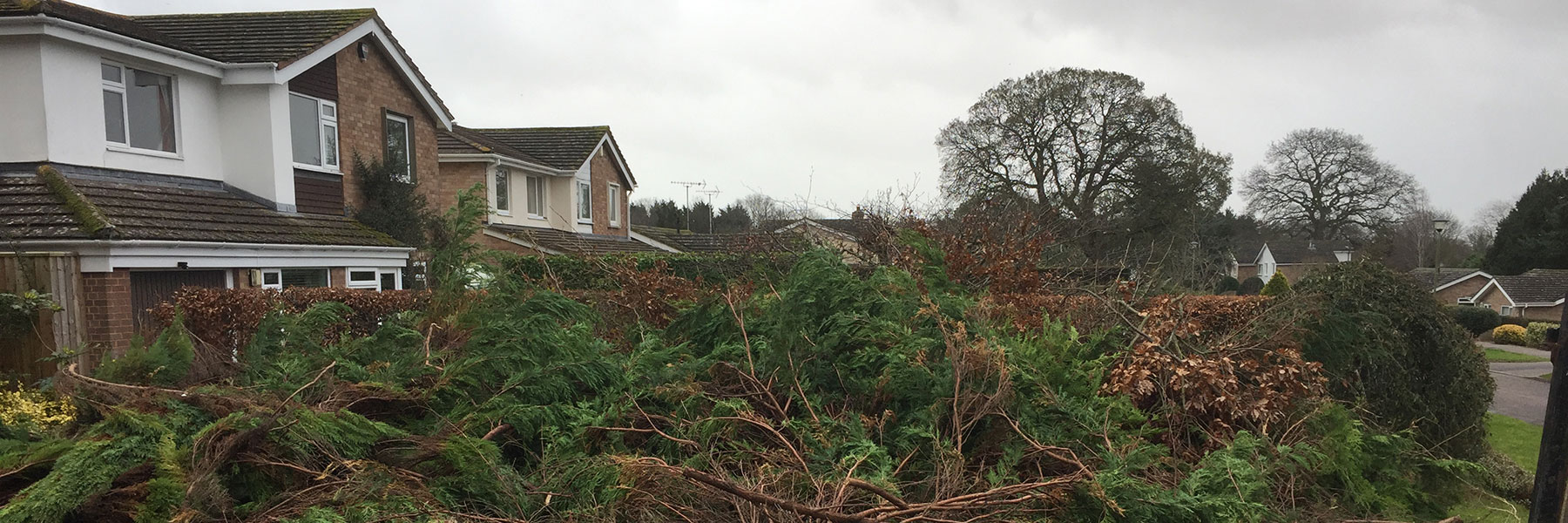 Plan B Devon Garden Services